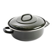 Dagelijkse kost stoofpot 24cm groen